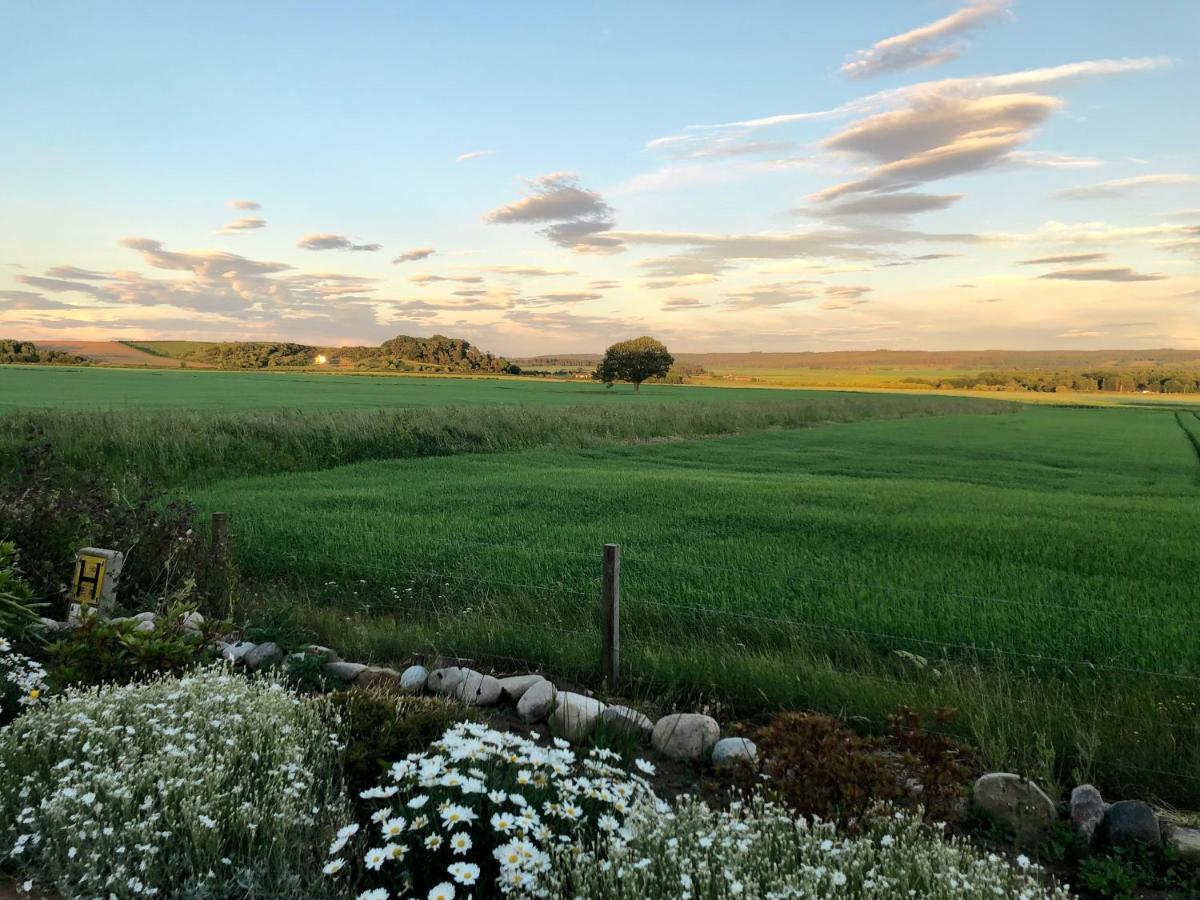 The Tower, Moray Firth Holiday Home Kinloss Exteriör bild